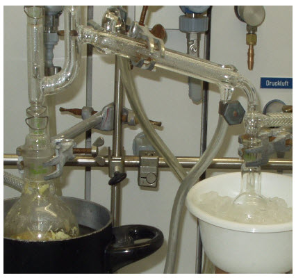 Liebig Condenser
